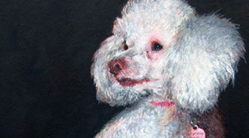 'Teddie' : Acrylic on Canvas